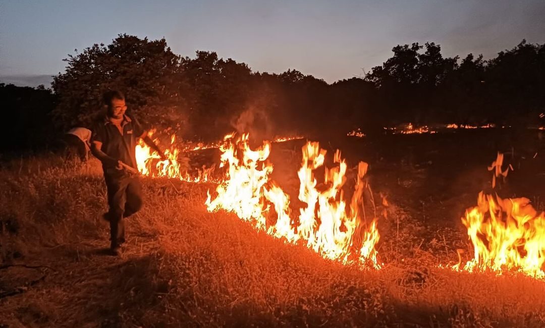 Uşak Merkez Yenişehir Köyü’ndeki