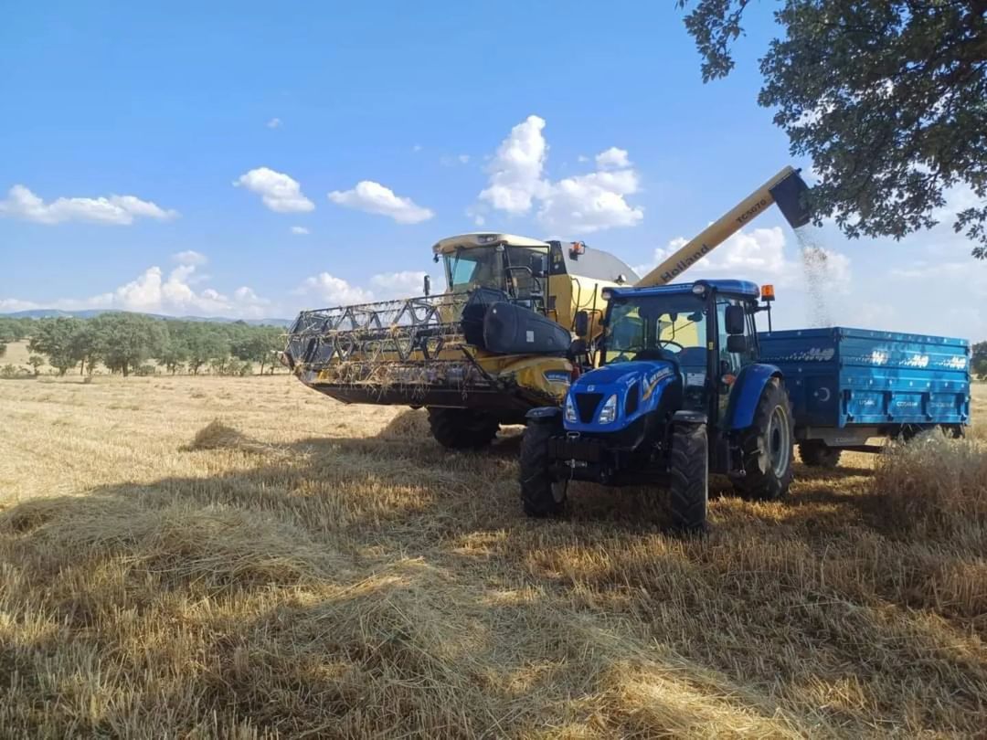 Banaz’da Buğday Hasadı Denetimleri Sürüyor