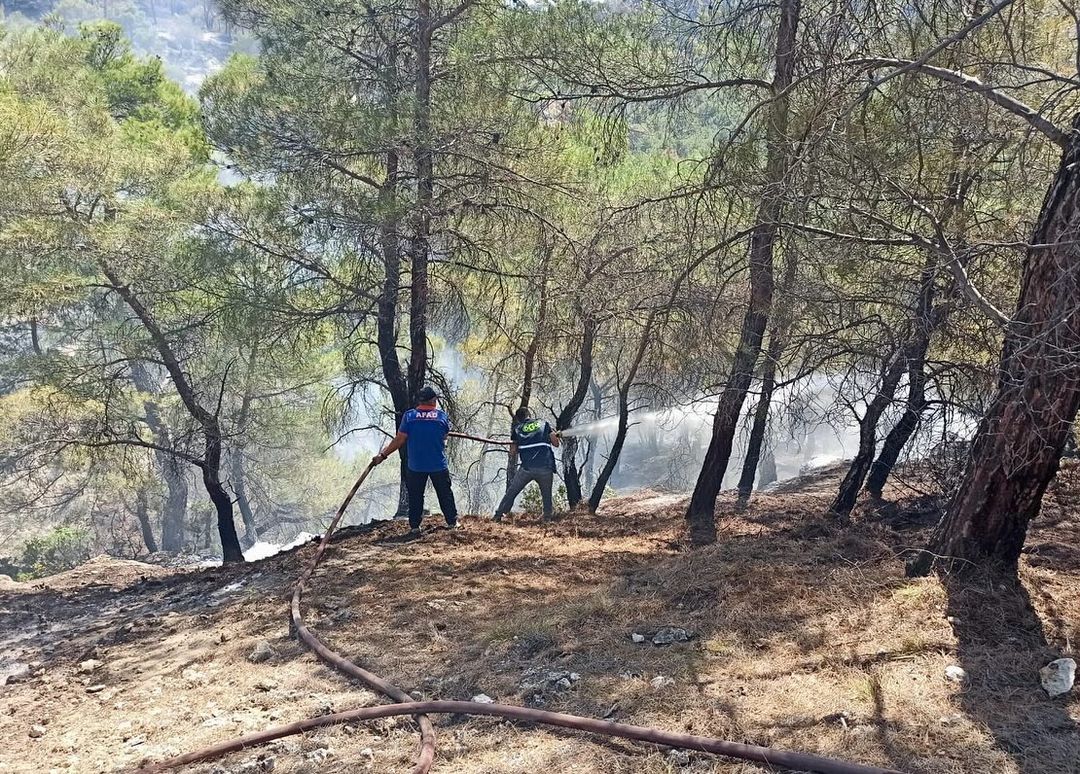 Uşak’ta Orman Yangını Kontrol Altına Alındı