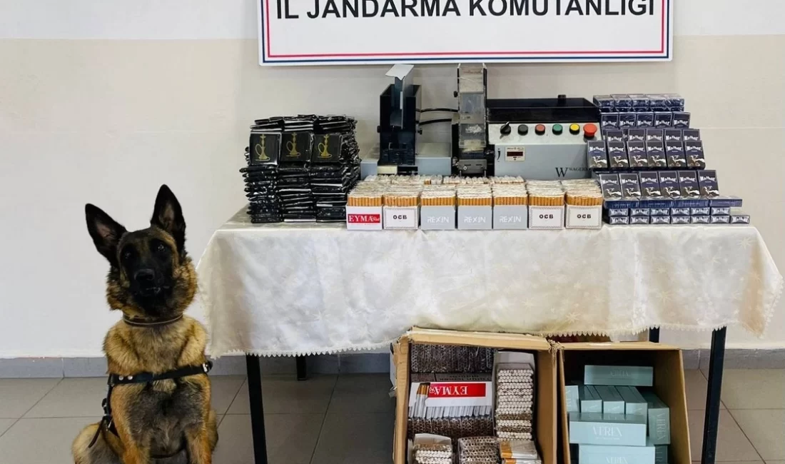 Düzce İl Jandarma Komutanlığı’nın